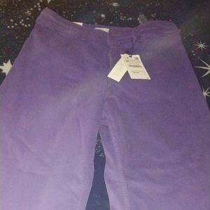 ZARA MARINE PURPLE JEANS